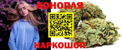 гидра Гагарин