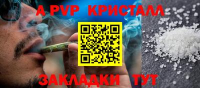 гидра Гагарин