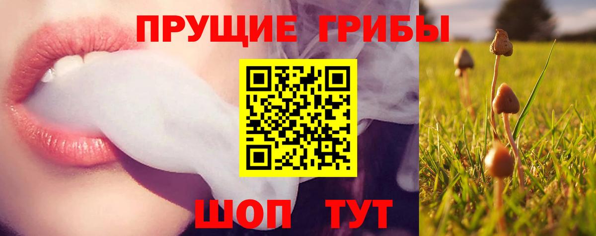 Псилоцибиновые грибы прущие грибы Орёл
