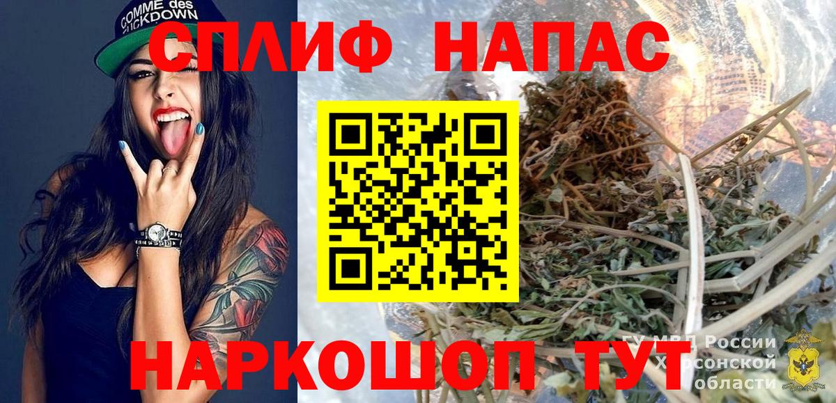 Шишки марихуана тримм  Вход с VPN  Канабис Bruce Banner  Орёл  Канабис планчик 